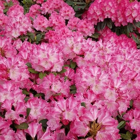 아파트 Souterrain & Jardin 니데겐