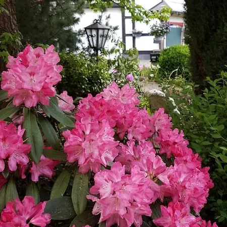Souterrain & Jardin *